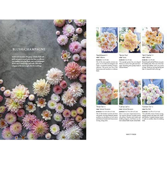 Floret Farm's Discovering Dahlias