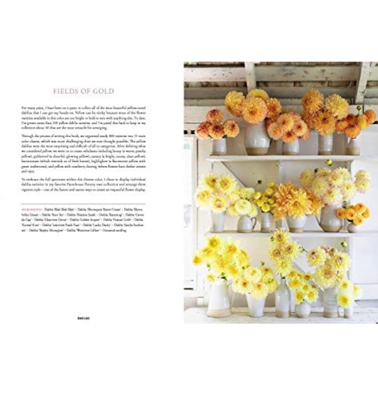 Floret Farm's Discovering Dahlias