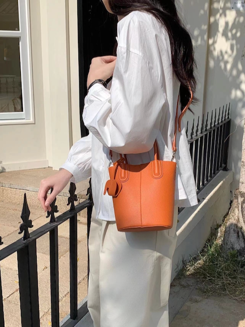 Small Tote/Crossbody Bag w/Matching Bag Charm