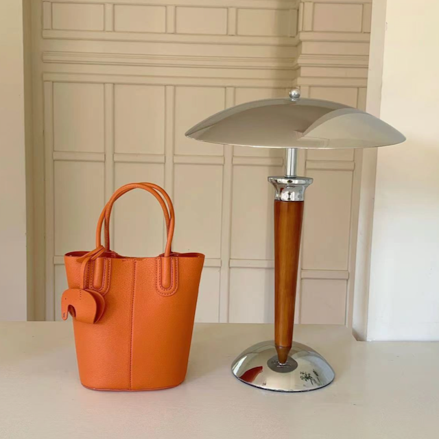 Small Tote/Crossbody Bag w/Matching Bag Charm