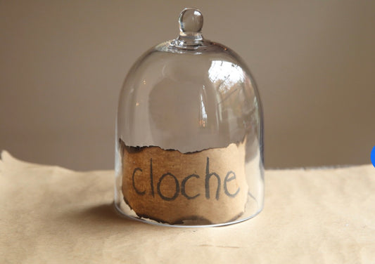 Glass Cloche