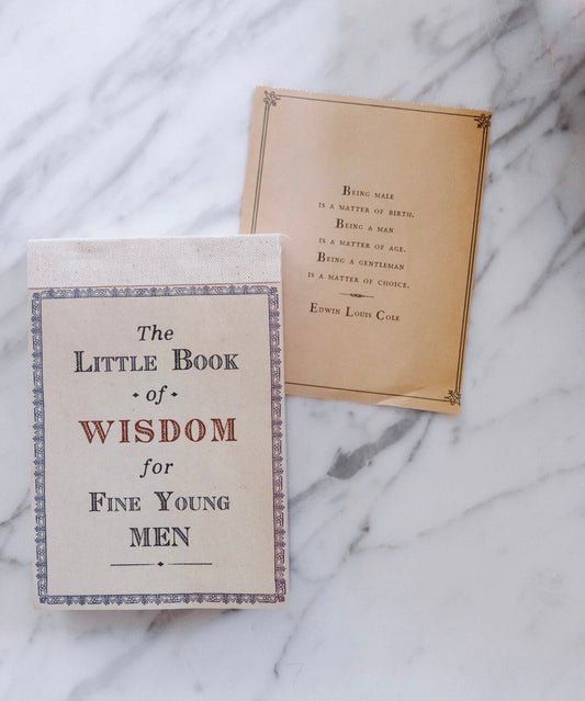 The Little Book Of Wisdom for Young Men